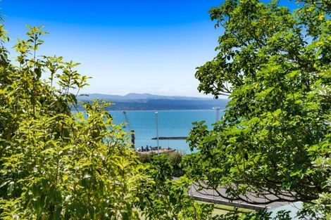 Photo of property in 34a Lighthouse Road, Bluff Hill, Napier, 4110