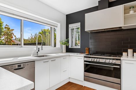 Photo of property in 46 Mcfaddens Road, St Albans, Christchurch, 8052