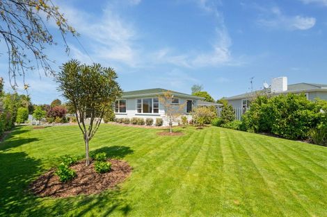 Photo of property in 43 Fergusson Street, Solway, Masterton, 5810