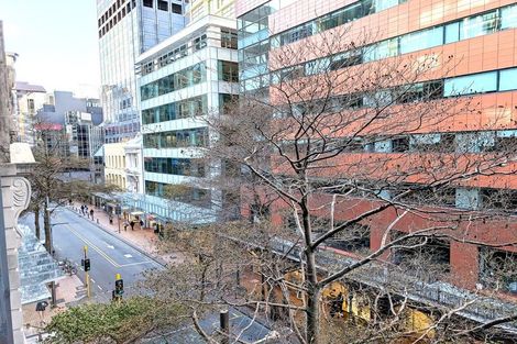 Photo of property in Gerondis Bldg Apartments, 305/60 Willis Street, Wellington Central, Wellington, 6011