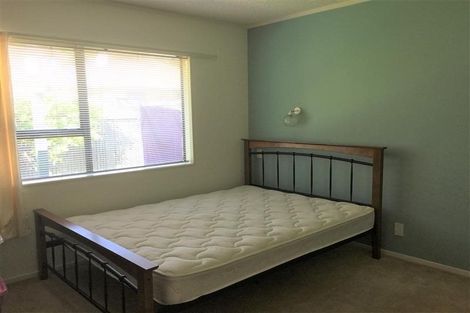 Photo of property in 93d Halifax Street East, The Wood, Nelson, 7010