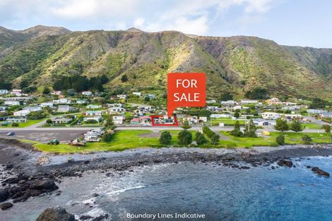 Photo of property in 3109 Cape Palliser Road, Cape Palliser, Featherston, 5772