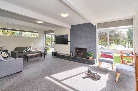 Photo of property in 24 Erin Street, Hokowhitu, Palmerston North, 4410