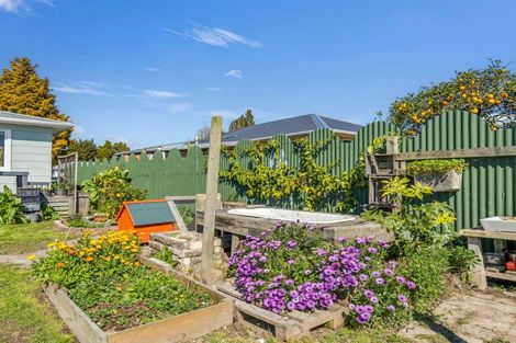 Photo of property in 15 Rimu Street, Edgecumbe, 3120