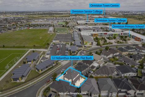 Photo of property in 32 Helianthus Avenue, Flat Bush, Auckland, 2019