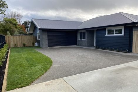 Photo of property in 99a Linton Street, West End, Palmerston North, 4410