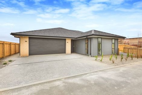 Photo of property in 169 John Burke Drive, Aotea, Porirua, 5024