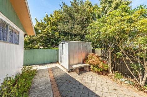 Photo of property in 255 Wicksteed Street, Whanganui, 4500