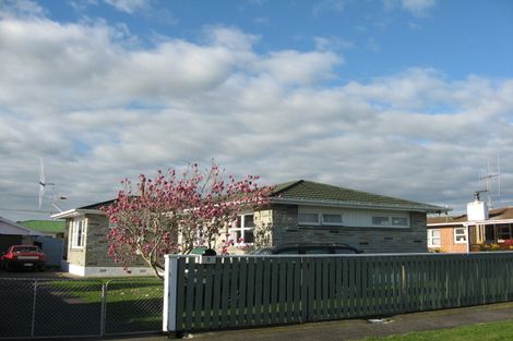 Photo of property in 3 Selwyn Street, Levin, 5510