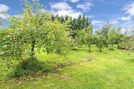 Photo of property in 39 Dawn Place, Kirwee, Darfield, 7571