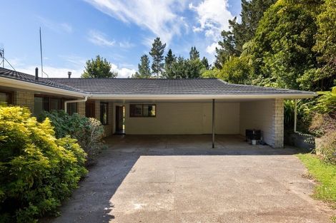 Photo of property in 233b Oropi Gorge Road, Oropi, Tauranga, 3173