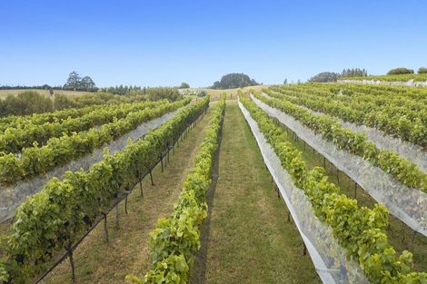 Photo of property in 6 Hamilton Road, Warkworth, 0982