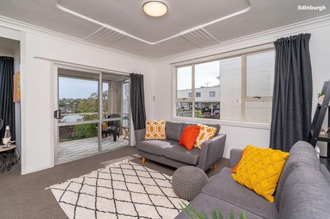 Photo of property in 163 Eglinton Road, Mornington, Dunedin, 9011