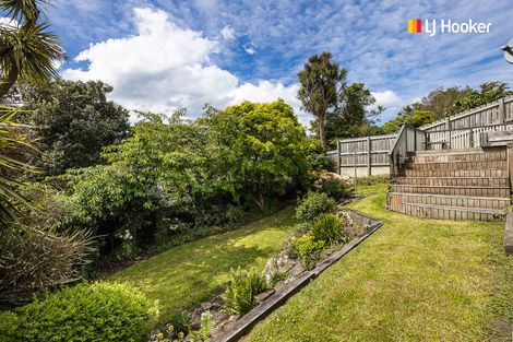Photo of property in 25 Silverton Street, Andersons Bay, Dunedin, 9013