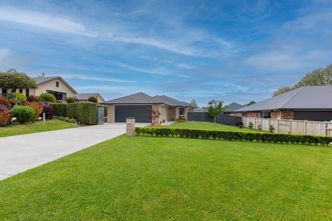 Photo of property in 9 Maple Place, Morrinsville, 3300