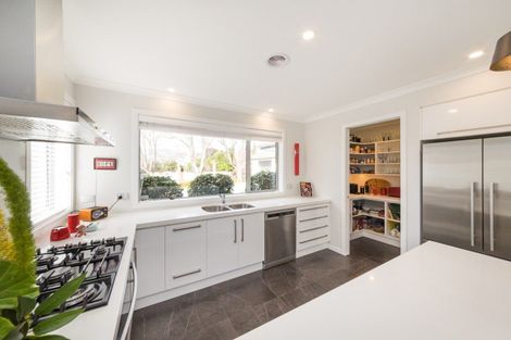 Photo of property in 33 Elmira Avenue, Hokowhitu, Palmerston North, 4410