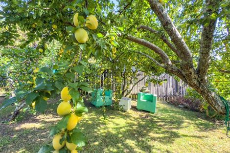 Photo of property in 10 Andrews Street, Paeroa, 3600