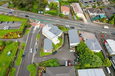 Photo of property in 82 Palmerston Street, Hamilton Lake, Hamilton, 3204