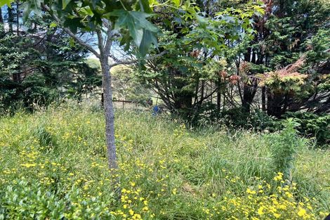 Photo of property in 249 Whitford-maraetai Road, Whitford, Howick, 2571