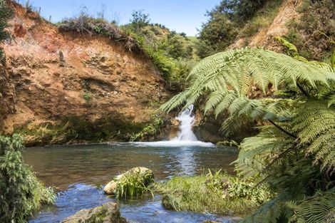 Photo of property in 135 Willoughby Road, Tahawai, Katikati, 3170