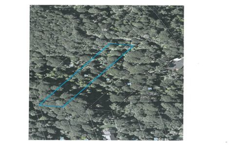 Photo of property in 19 Hayes Road, Henderson Valley, Auckland, 0612