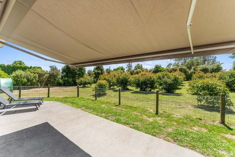 Photo of property in 400 Mclaren Falls Road, Omanawa, Tauranga, 3171