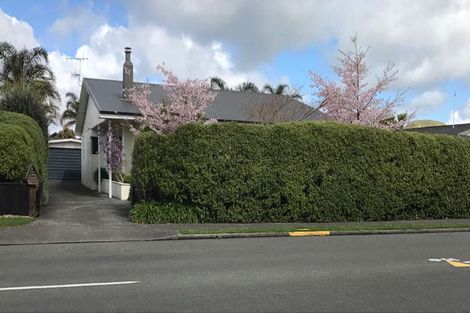 Photo of property in 58 Auckland Road, Greenmeadows, Napier, 4112