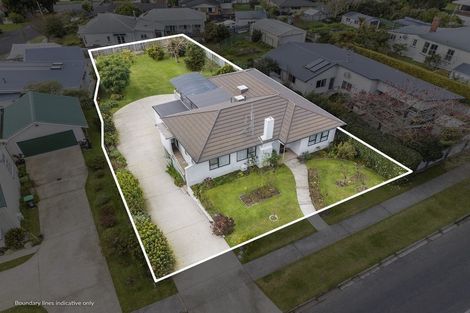 Photo of property in 36 Boucher Avenue, Te Puke, 3119