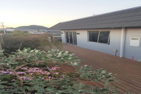 Photo of property in 1 Campbell Road, Mount Maunganui, 3116