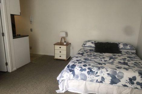Photo of property in 601/8 Kingsland Terrace, Kingsland, Auckland, 1021