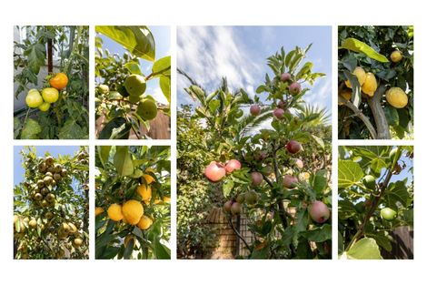 Photo of property in 82 Palm Beach Boulevard, Papamoa Beach, Papamoa, 3118