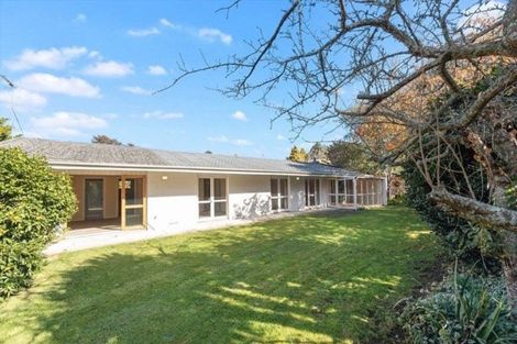 Photo of property in 36 Aurora Terrace, Hillcrest, Hamilton, 3216