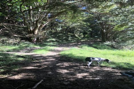 Photo of property in 504b Wairere Road, Maungaturoto, 0571