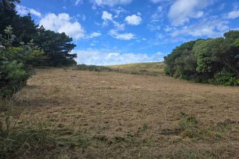 Photo of property in 88 Lake Ferry Road, Lake Ferry, Featherston, 5772