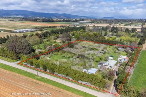 Photo of property in 35 Whelans Road, Levin, 5571