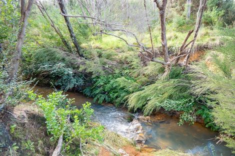 Photo of property in 2 Amelie Place, Coopers Beach, 0420