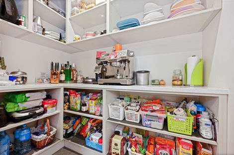 Photo of property in 30 Athier Avenue, Chartwell, Hamilton, 3210