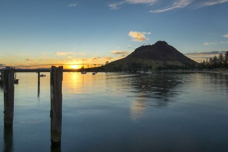 Photo of property in 12b Puriri Street, Mount Maunganui, 3116