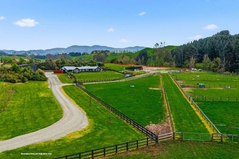 Photo of property in 184 Butcher Road, Reporoa, 3083