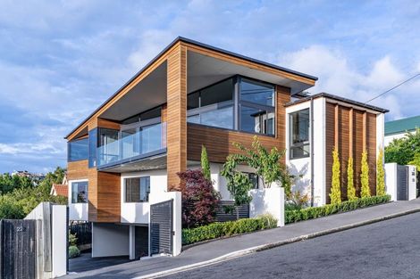 Photo of property in 18 Selkirk Street, Roslyn, Dunedin, 9010