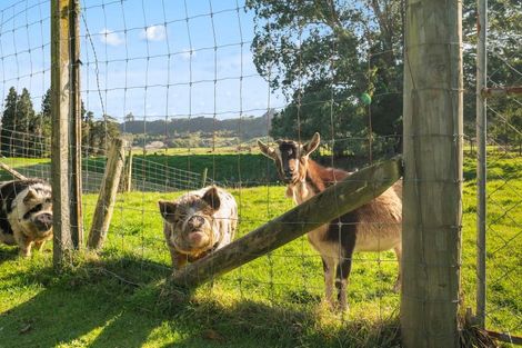 Photo of property in 951 Hamurana Road, Hamurana, Rotorua, 3097