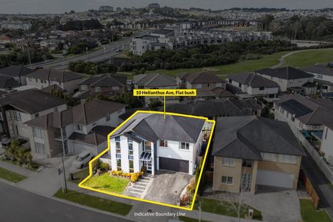 Photo of property in 10 Helianthus Avenue, Flat Bush, Auckland, 2019