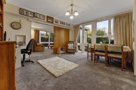 Photo of property in 11 Panako Place, Awapuni, Palmerston North, 4412