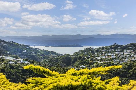 Photo of property in 58 Winston Street, Crofton Downs, Wellington, 6035