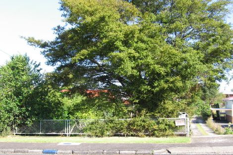 Photo of property in 25 Tane Street, New Lynn, Auckland, 0600