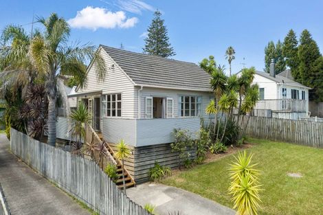 Photo of property in 17 Blacklock Avenue, Henderson, Auckland, 0612