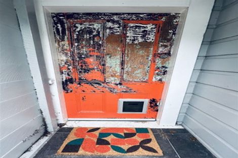 Photo of property in 6 Jeypore Street, Berhampore, Wellington, 6023