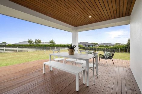 Photo of property in 46 Wapiti Avenue, Feilding, 4775