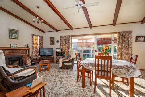 Photo of property in 132 Tarbert Street, Alexandra, 9320