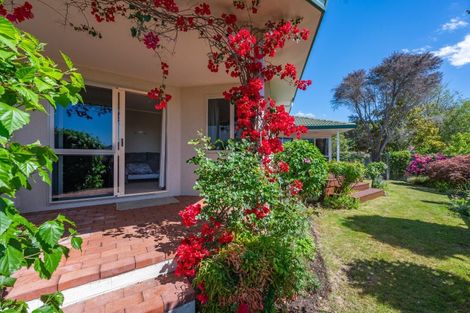 Photo of property in 17 Kingsgate Avenue, Havelock North, 4130